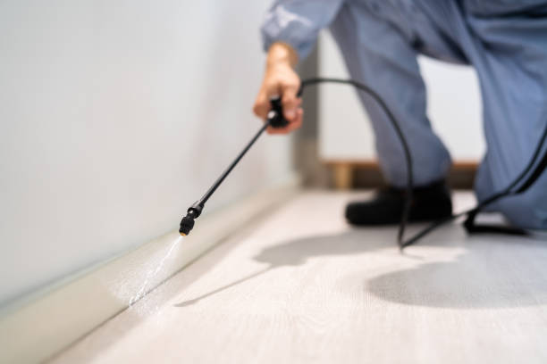 Licensed Fumigation Services service in Kandiyohi County County, MN - Nex Pest Control
